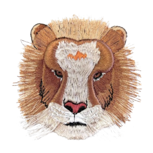 3D Lion With Loose Threads